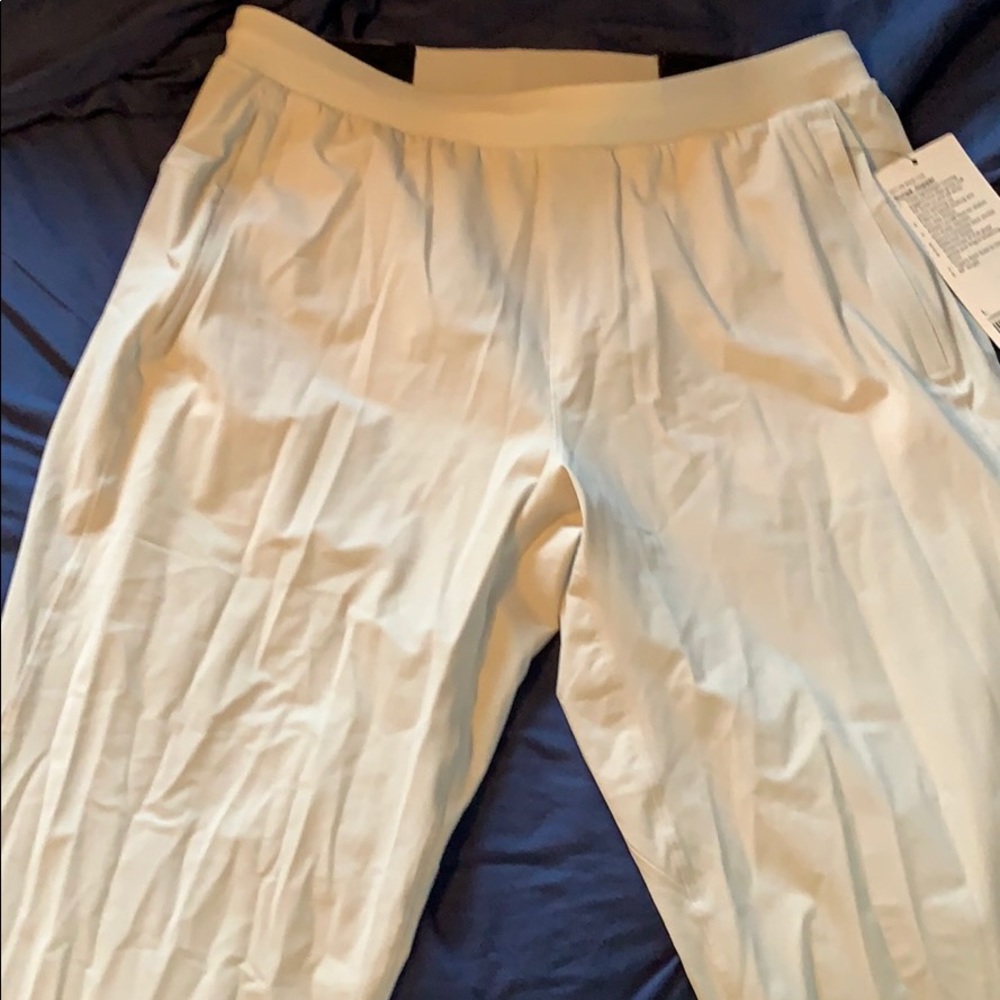 Lululemon Surge jogger size large